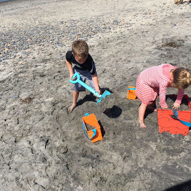 beachmate