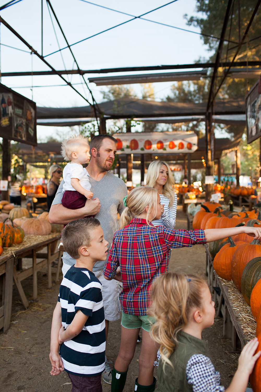 kailee-wright_pumpkin-patch
