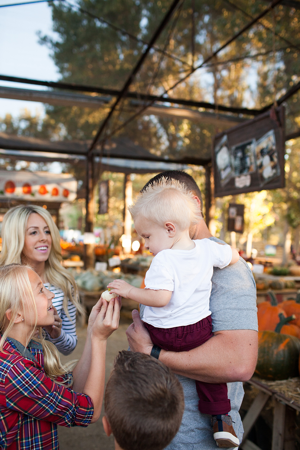 kailee-wright_pumpkin-patch