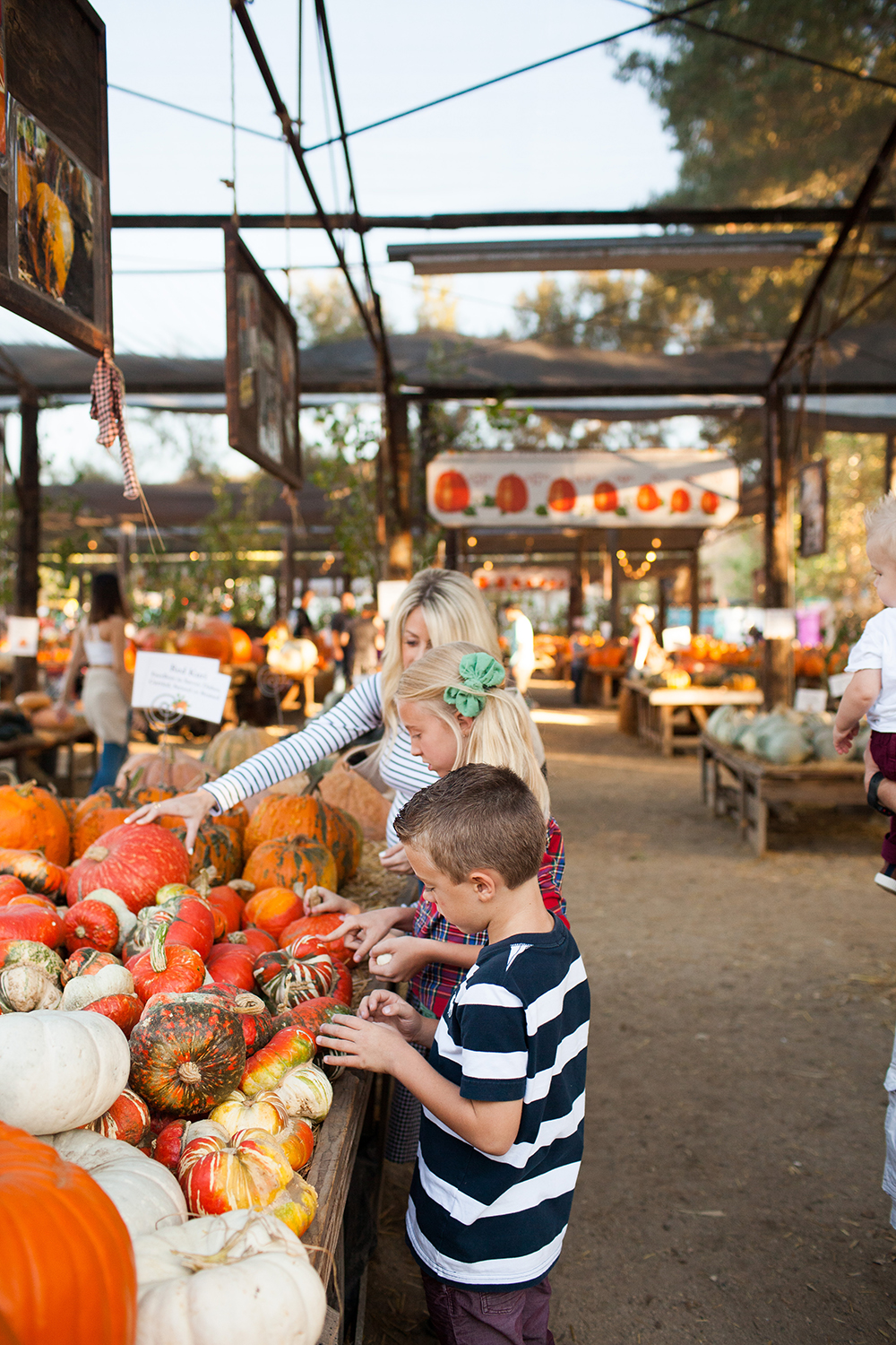 kailee-wright_pumpkin-patch