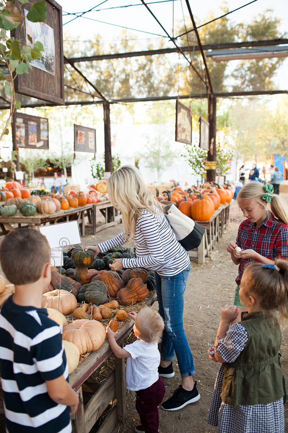 kailee-wright_pumpkin-patch