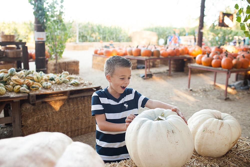 kailee-wright_pumpkin-patch