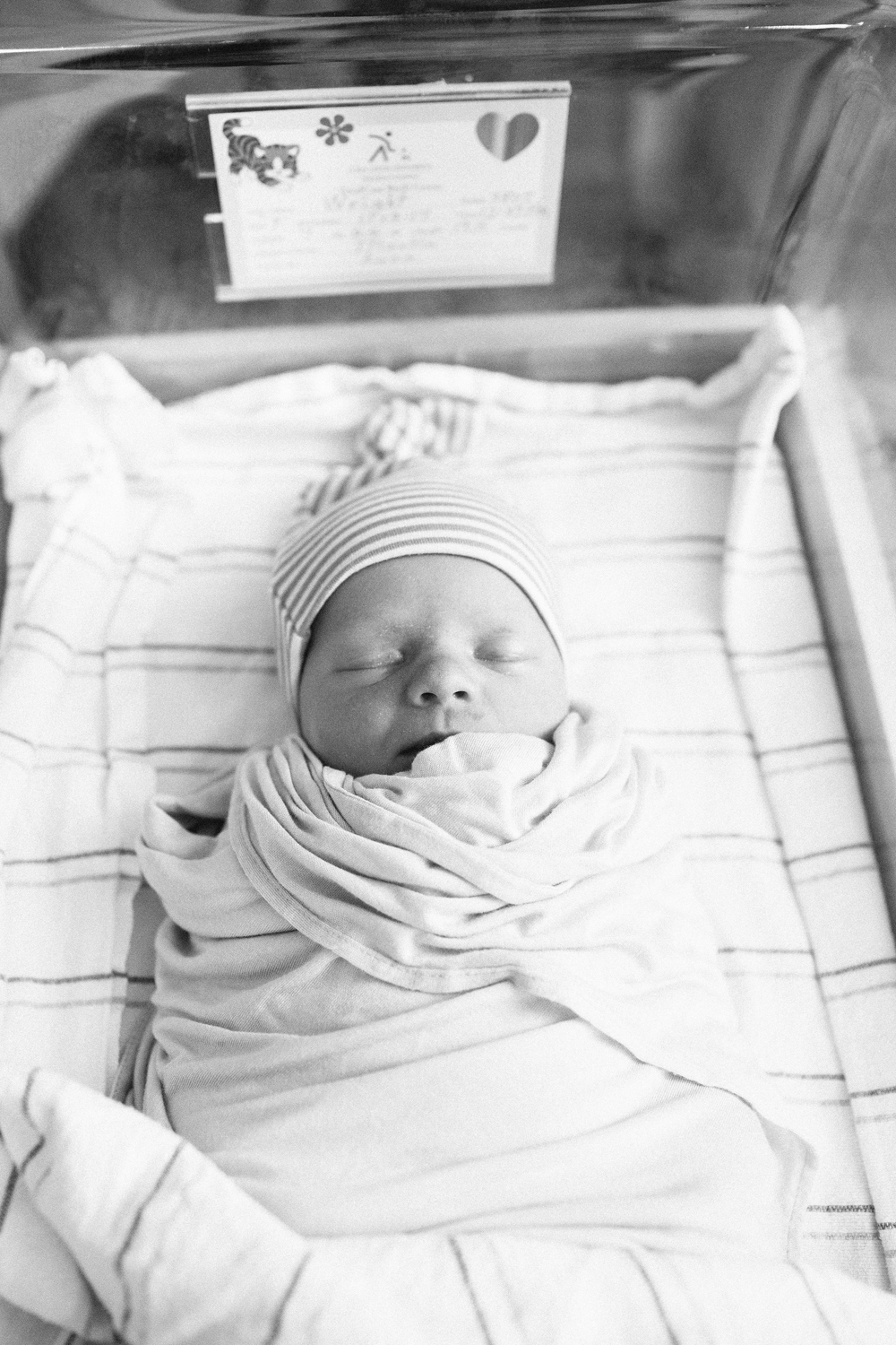 kailee-wright-birth-harper