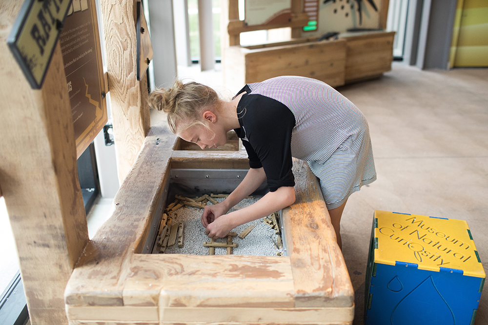 Kailee Wright_Museum of Natural Curiousity