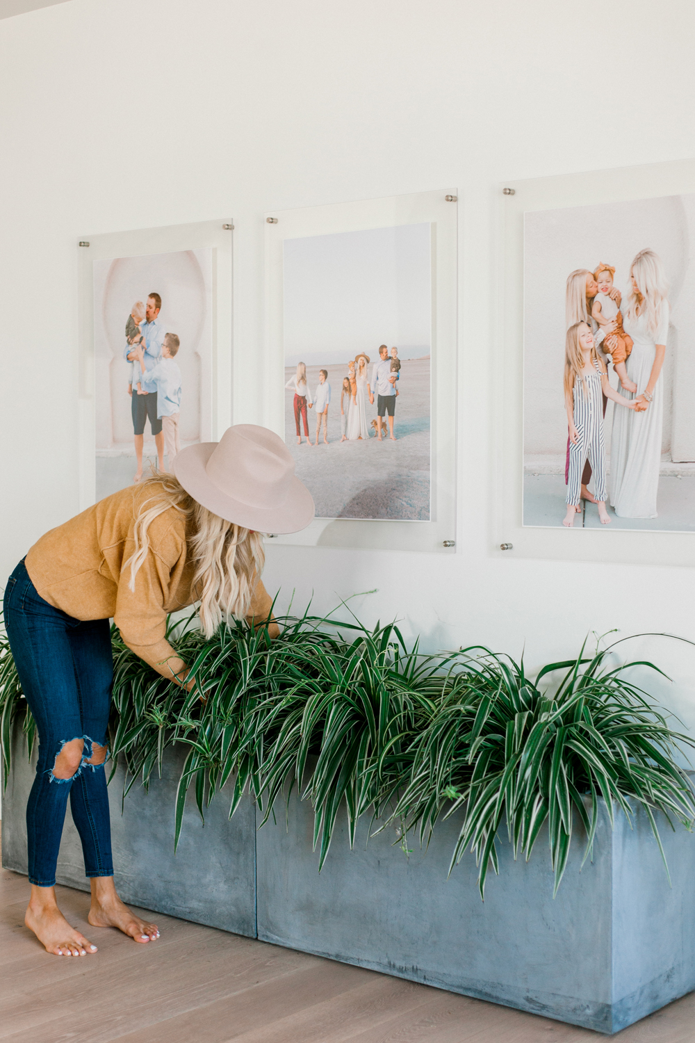 Kailee Wright Adding Plants and Greenery to your Home