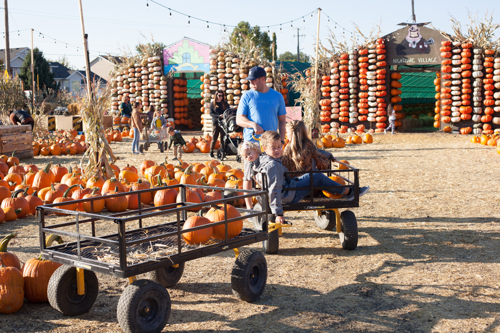 Kailee Wright Nordstrom kids pumpkin patch