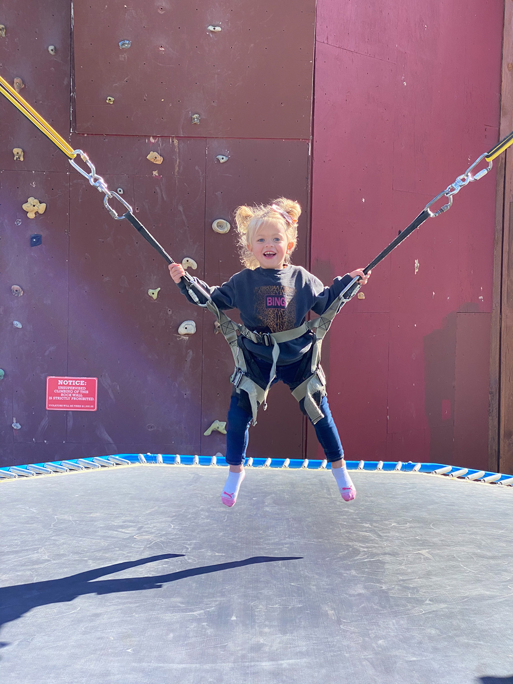 kailee wright Zion Ponderosa 